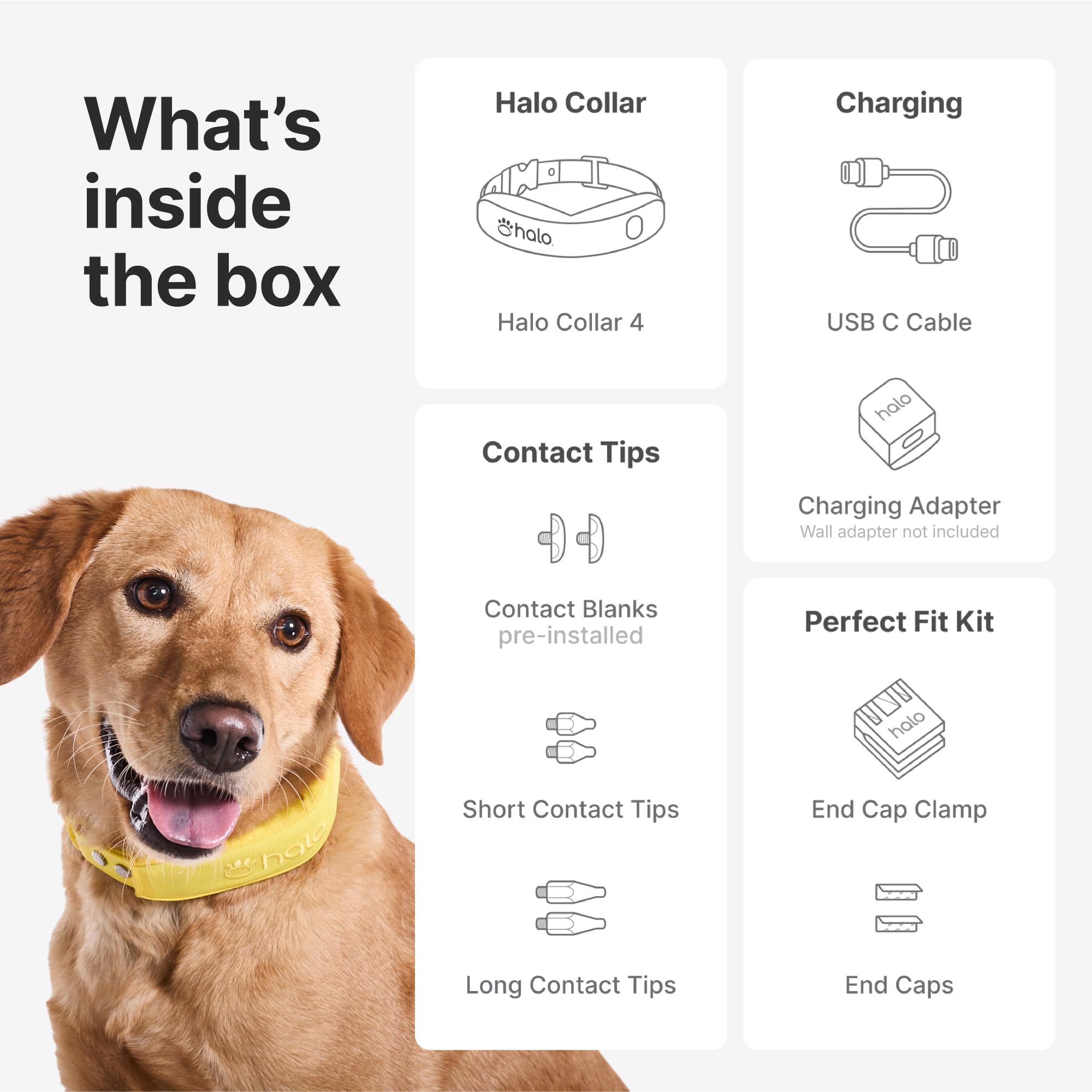 【Shiho】Ameri　RETURN COLLAR ALL IN ONE Shiho】Ameri RETURN COLLAR ALL IN ONE Amazon.com : Shock